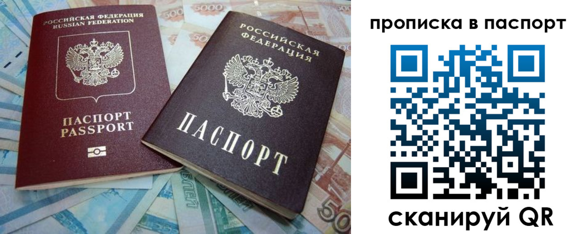 прописка поиск в Ершове